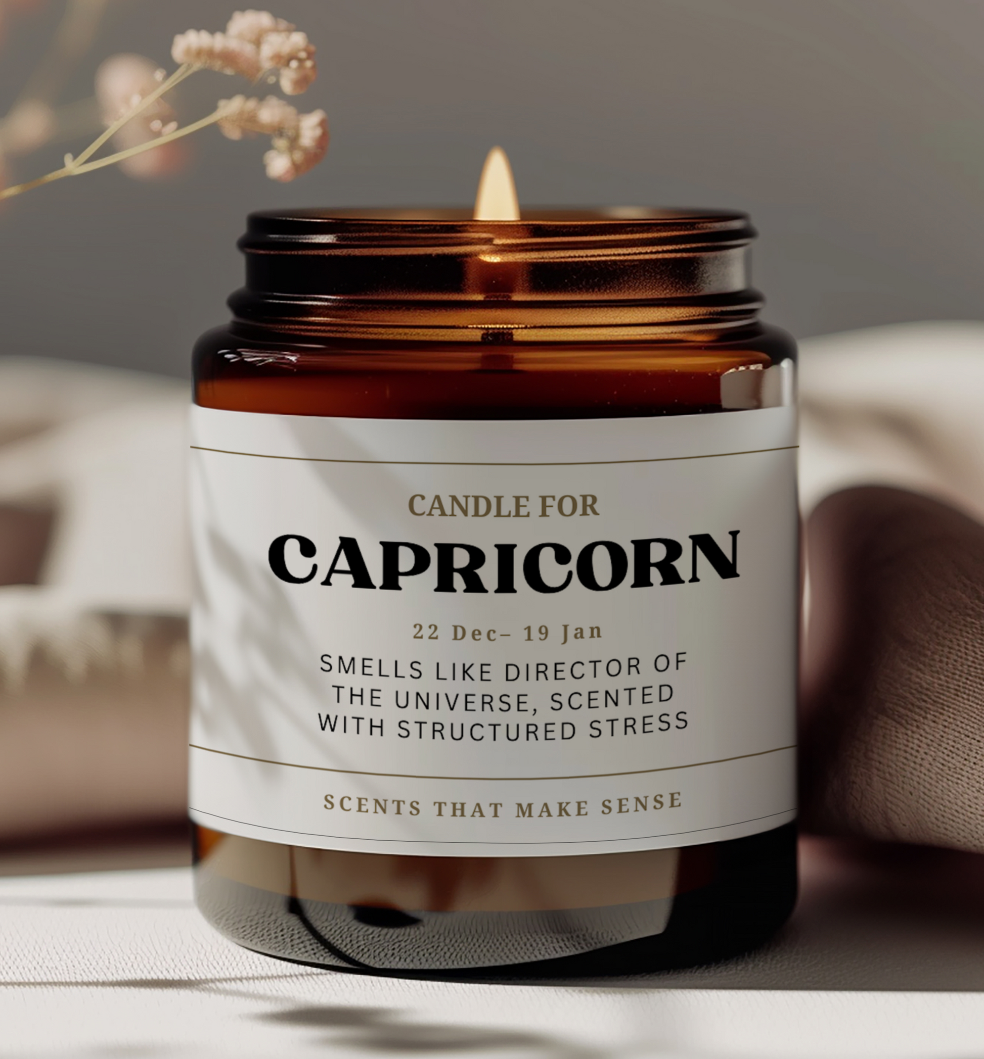 capricorn birthday gift. funny zodiac candle with text on label: candle for capricorn, smells like director of the universe, scented with structured stress.