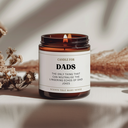 Dad Birthday Gift Funny Candle Dad Jokes